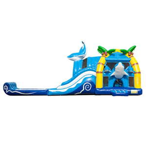 Springkussen Super Dolfijn XL met plonsbad Springkussen Super Dolfijn XL met plonsbad